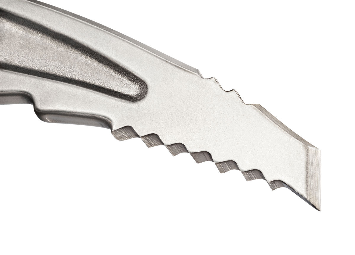 PETZL EISPICKEL SUMMIT® EVO